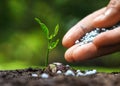 Growing and nurturing young plant seedling Royalty Free Stock Photo