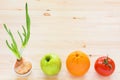 Growing onion with beautiful green fresh sprout in a white cup, Royalty Free Stock Photo