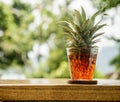 Growing pineapple at table Royalty Free Stock Photo