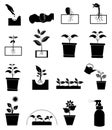 Growing plant icons set