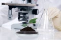 Growing plant in a lab