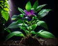 growing plant in the mud, The essence is a kind of herb, generative ai tool