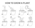 Growing a plant in the pot guide.