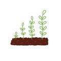 Growing plant in the soil phases concept. Gardening print showing stages