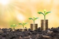 Growing plants on coins stacked on green blurred backgrounds.