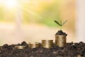 Growing plants on coins stacked on green blurred backgrounds and natural light.