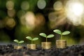 Growing plants on coins stacked on green blurred backgrounds.