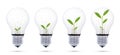 Growing plants inside light bulbs representing renewable energy, green innovation, and sustainable development Royalty Free Stock Photo