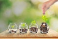 Growing Plants in Savings Coins - Investment and Interest Ideas. Money growing plant with fiery light effect - money growing