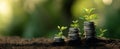 The Growing Relationship Between Plants and Coins in Financial Growth.AI generated image Royalty Free Stock Photo