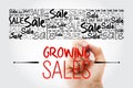 Growing Sales word cloud collage, business concept background