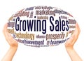 Growing Sales word cloud hand sphere concept Royalty Free Stock Photo