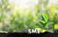 Growing Savings business SME or Small and medium-sized enterprises Computing Computer