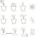 Growing seeds icons, agronomy. Thin black lines on a white background Royalty Free Stock Photo