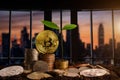 Growing step Photo Golden Bitcoins Coins bitcoin concept finance and accounting.city background