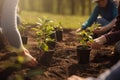 Growing Together: Dedicated Volunteers Planting Seedlings and Nurturing Nature\'s Promise, created with Generative AI