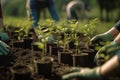 Growing Together: Dedicated Volunteers Planting Seedlings and Nurturing Nature\'s Promise, created with Generative AI