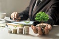 A growing tree on a pile of money in the hands of a businessman and a tree growing on a stack of coins financial ideas.