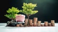 Growing trees on heaps of money stacks and calculators, financial investment ideas, and sources of funds