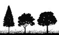 growing trees silhouette, on white background