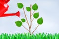 Growing trees, growing young trees, taking care of the environment, preventing global warming. Royalty Free Stock Photo