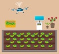 Growing vegetables, using solar energy. Box with lettuce and pot with flowers. Using drone and solar Royalty Free Stock Photo