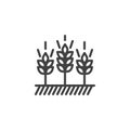 Growing wheat plant line icon Royalty Free Stock Photo