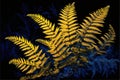 Growing yellow ferns closeup with dark blue forest in background