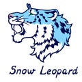 The growling blue snow leopard in a profile