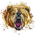 Growling grizzly bear T-shirt graphics. bear illustration with splash watercolor textured background. unusual illustration waterc