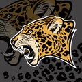 Growling jaguar vector illustration. Royalty Free Stock Photo