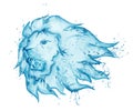 Growling lion water splash