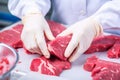 Grown artificial meat cuts, produced from stem cells in a laboratory setting