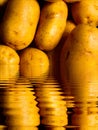 Grown Bown Potatoes Abstract Art