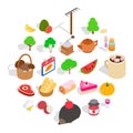 Grown food personally icons set, isometric style