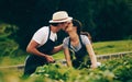 Grown with love. an affectionate young couple working in a garden together. Royalty Free Stock Photo