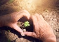 Grown with love. a woman making a heart shape around a plant sprouting from soil.