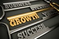Growth Royalty Free Stock Photo