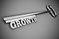 Growth Royalty Free Stock Photo