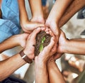 Growth arises from the efforts we put in as a team. Closeup shot of a group of people holding a plant growing in soil. Royalty Free Stock Photo
