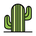 growth cactus plant