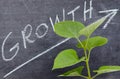 Growth concept with a green small plant Royalty Free Stock Photo