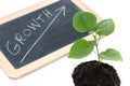 Growth concept with a green small plant Royalty Free Stock Photo