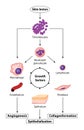 Growth factors in tissue growth