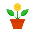 Growth finance coin tree