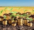 Growth, green, business Royalty Free Stock Photo