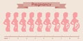 Growth of human fetus with female silhouette in Royalty Free Stock Photo