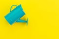 Growth idea, grow or investment profit concept, small green watering can on yellow background with copy space Royalty Free Stock Photo