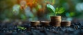 Growth Investing Concept with Coins and Sprout. Concept Investment Strategies, Financial Planning, Royalty Free Stock Photo