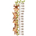 Growth measure with monkey on vine Royalty Free Stock Photo